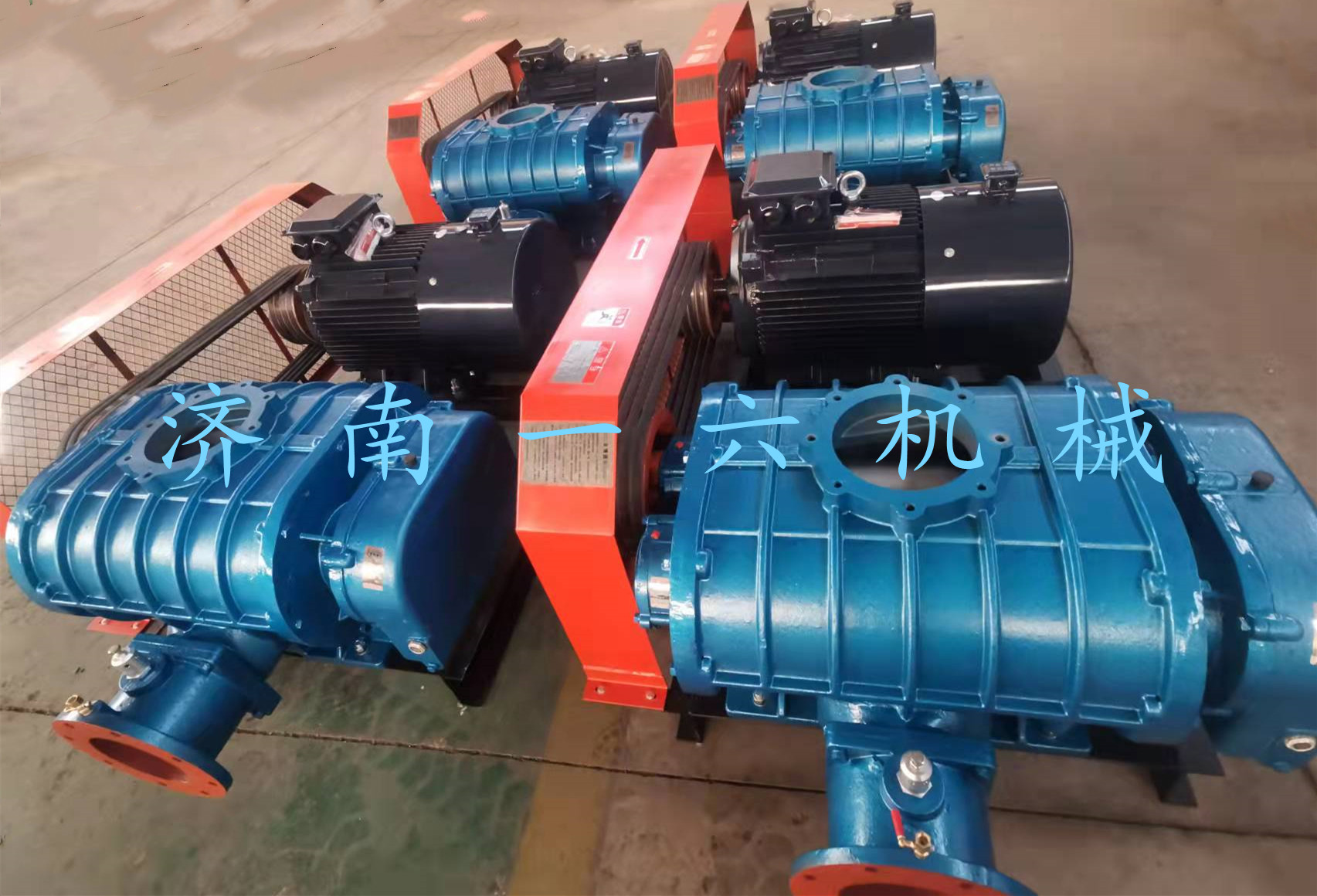 1645079935161405.jpg 1645079935161405.jpg