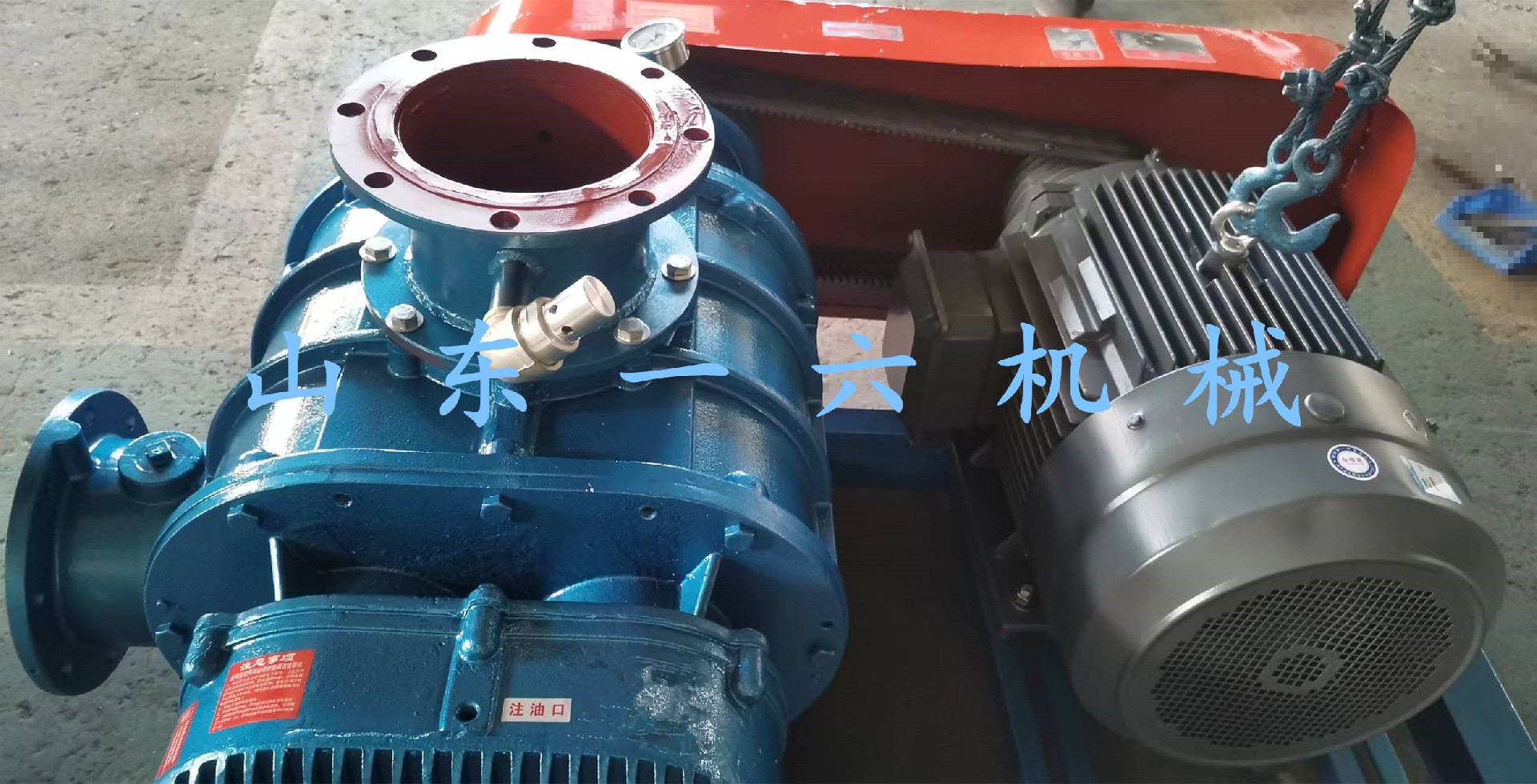 1686799374991053.jpg 1686799374991053.jpg